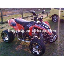 300CC Quad bike ATV d’atv 300 CEE (route/Racing)